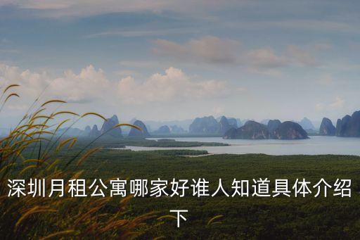 深圳月租公寓哪家好誰人知道具體介紹下