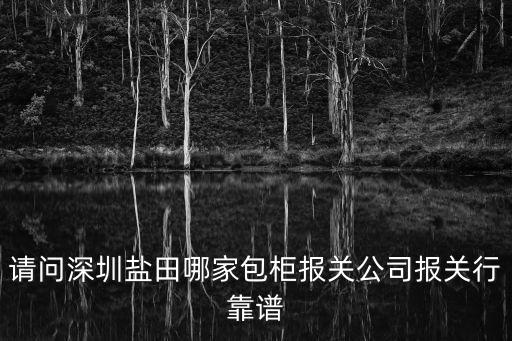 深圳進出口包柜報關公司，請問深圳鹽田哪家包柜報關公司報關行靠譜