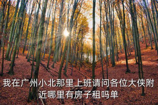 我在廣州小北那里上班請問各位大俠附近哪里有房子租嗎單