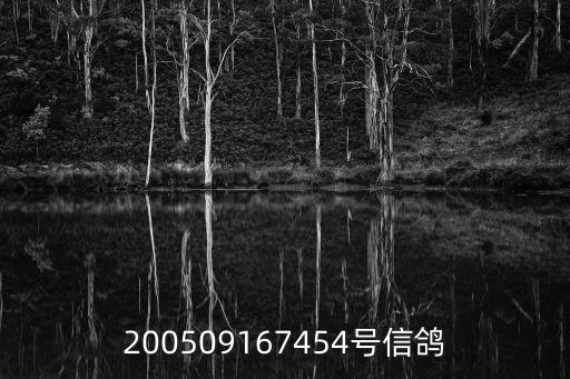 上海市楊登元鴿子，200509167454號信鴿