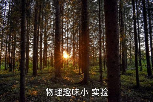  物理趣味小 實驗
