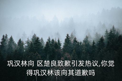 鞏漢林向 區楚良致歉引發熱議,你覺得鞏漢林該向其道歉嗎