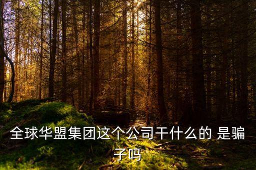 深圳華盟集團，全球華盟集團這個公司干什么的 是騙子嗎