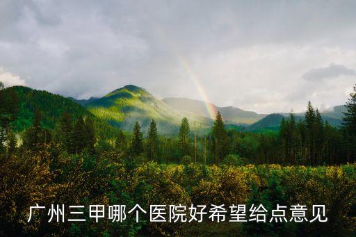 廣州三甲哪個醫院好希望給點意見