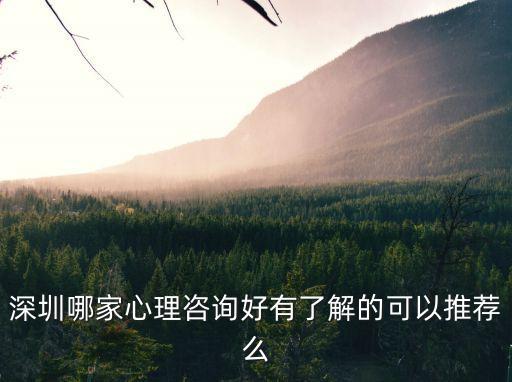 深圳心理咨詢安全廣濟(jì)，深圳有哪些心理咨詢機(jī)構(gòu)比較專業(yè)的