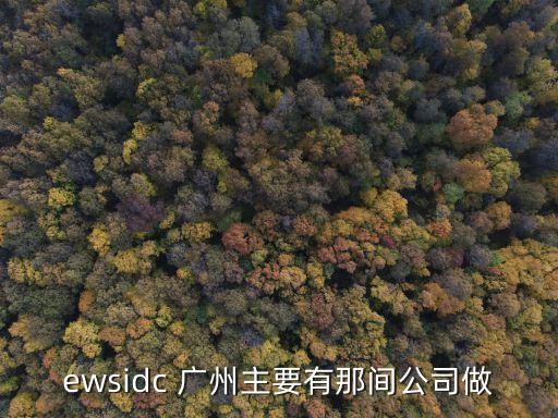 廣州尚易迅科技，ewsidc 廣州主要有那間公司做