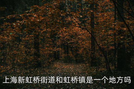 上海新虹橋街道和虹橋鎮是一個地方嗎