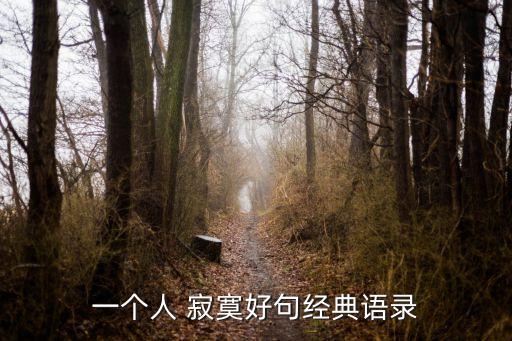 一個人 寂寞好句經典語錄