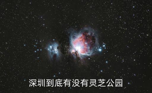 深圳到底有沒有靈芝公園