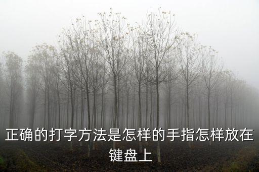 正確的打字方法是怎樣的手指怎樣放在 鍵盤上