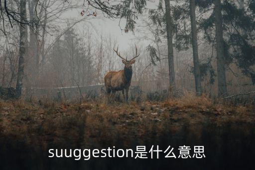suggestion是什么意思,susugestion什么意思?