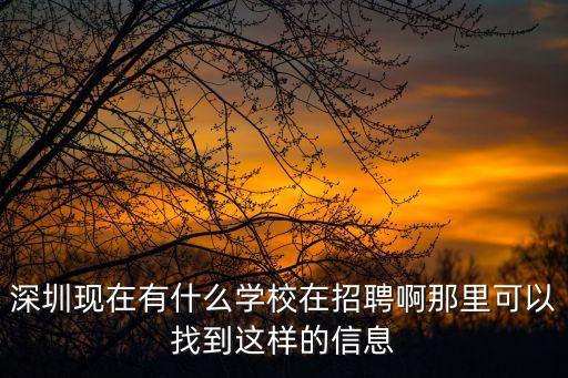 深圳現在有什么學校在招聘啊那里可以找到這樣的信息