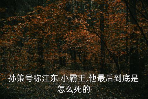 小霸王是誰,在三國演義中小霸王是誰