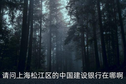 請問上海松江區的中國建設銀行在哪啊
