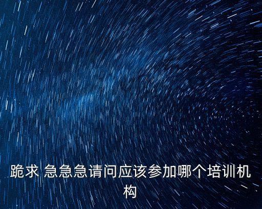 跪求 急急急請問應該參加哪個培訓機構
