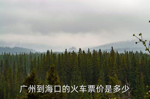 廣州到海口9號火車票，廣州到海口火車票多少