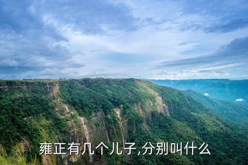 雍正兒子