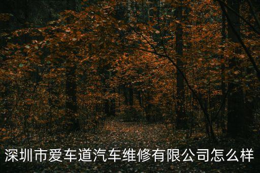 深圳市愛車道汽車維修有限公司怎么樣