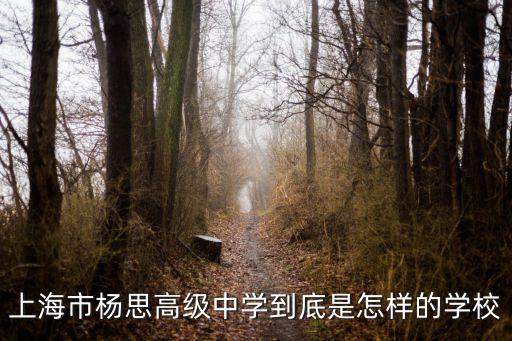 上海市楊思高級中學校服，上海市楊思高級中學到底是怎樣的學校
