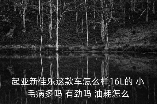 深圳起亞新佳樂，起亞新佳樂這款車怎么樣16L的 小毛病多嗎 有勁嗎 油耗怎么