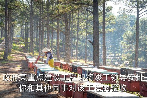 上海市住建委   伍伏清，政府某重點建設工程即將竣工領導安排你和其他同事對該工程的驗收