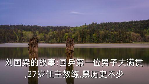 蔡振華兒子,中國乒乓原型蔡振華兒子