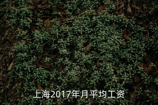 上海2017年月平均工資