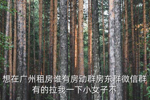 想在廣州租房誰有房動群房東群微信群有的拉我一下小女子不