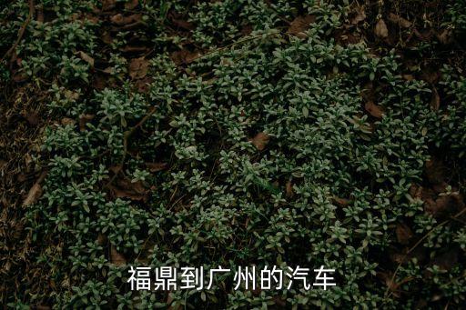 福鼎到廣州大巴，福鼎到廣州的大巴車一天有幾趟多少錢大概多少個小時能到求幫