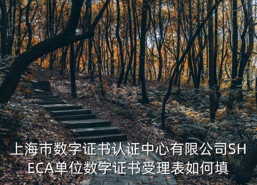 上海市數(shù)字證書認證中心網(wǎng)，上海市數(shù)字證書認證中心插上去怎么跳不出網(wǎng)頁