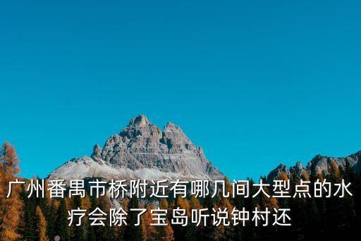 廣州番禺市橋附近有哪幾間大型點的水療會除了寶島聽說鐘村還
