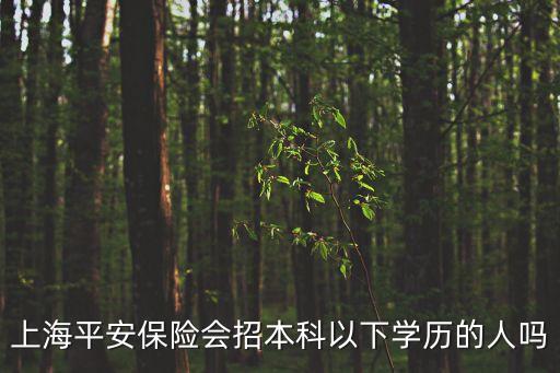 上海平安保險會招本科以下學歷的人嗎