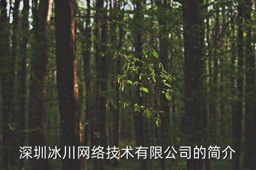 深圳雙向數據無線非視距實時傳輸，深圳冰川網絡技術有限公司的介紹