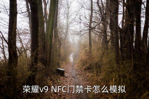 榮耀v9 深圳通卡模擬，榮耀v9 NFC門禁卡怎么模擬