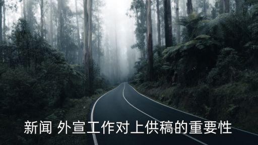 外宣工作,外宣:工作不夠大膽專業水平有待提高