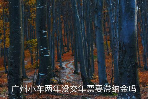廣州年票補交，廣州小車兩年沒交年票要滯納金嗎