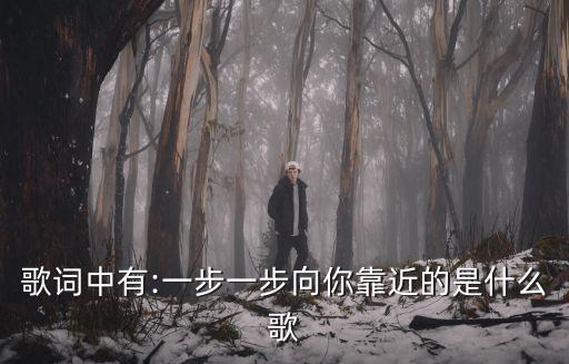 歌詞中有:一步一步向你靠近的是什么歌