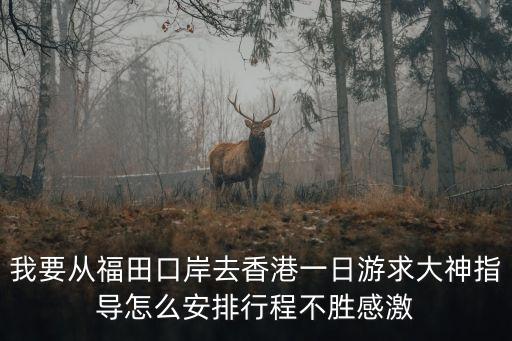 我要從福田口岸去香港一日游求大神指導(dǎo)怎么安排行程不勝感激