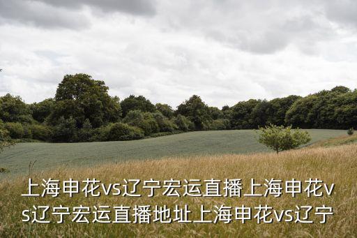 上海申花vs遼寧宏運直播上海申花vs遼寧宏運直播地址上海申花vs遼寧