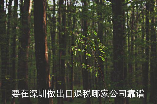 要在深圳做出口退稅哪家公司靠譜