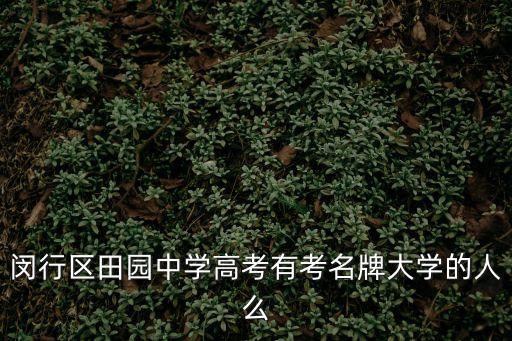 上海市閔行區田園初中，閔行區平南小學 薔薇小學 上海市田園第一小學 航華一小 七寶明強小學
