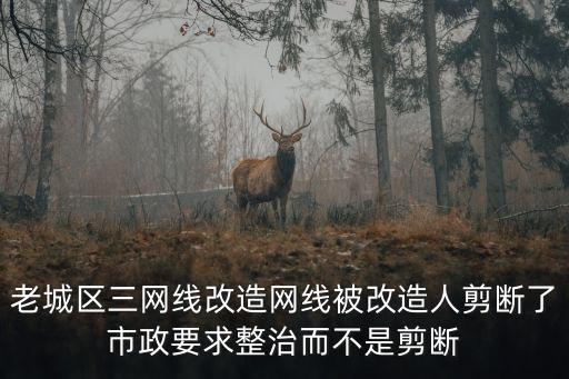 老城區(qū)三網(wǎng)線(xiàn)改造網(wǎng)線(xiàn)被改造人剪斷了市政要求整治而不是剪斷