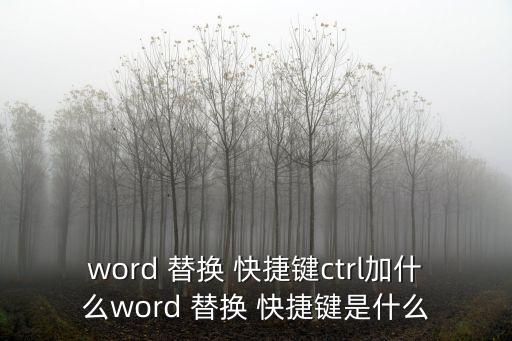 word 替換 快捷鍵ctrl加什么word 替換 快捷鍵是什么