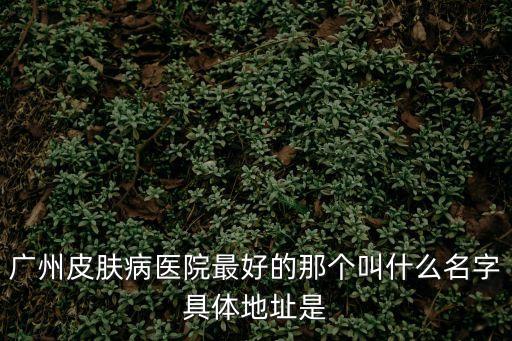 廣州皮膚診所，廣州哪間皮膚醫(yī)院好啊求地址