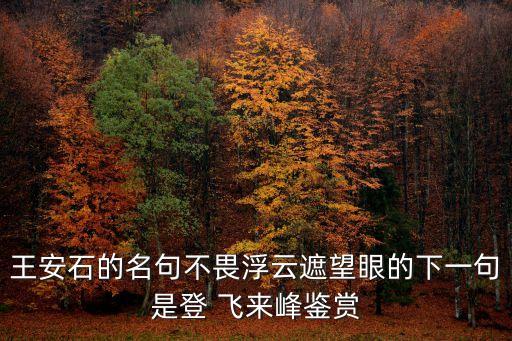 王安石的名句不畏浮云遮望眼的下一句是登 飛來峰鑒賞