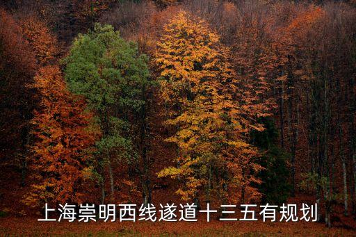 上海崇明西線遂道十三五有規劃