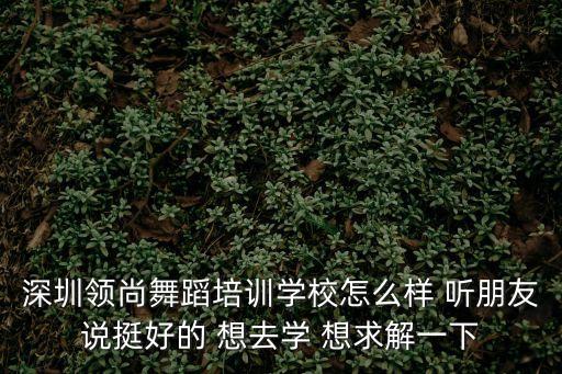 深圳領尚舞蹈培訓學校怎么樣 聽朋友說挺好的 想去學 想求解一下