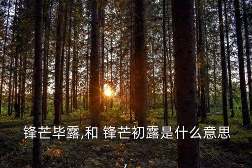 鋒芒是什么意思,你的善良必須有點(diǎn)鋒芒是什么意思