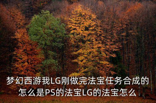 夢幻西游我LG剛做完法寶任務合成的怎么是PS的法寶LG的法寶怎么