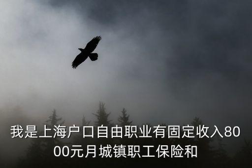 我是上海戶口自由職業有固定收入8000元月城鎮職工保險和